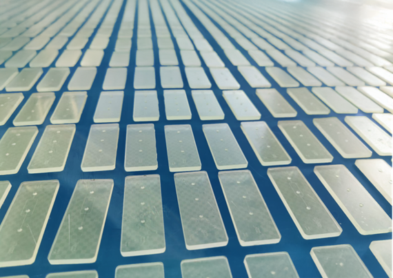 The Impacts and Benefits